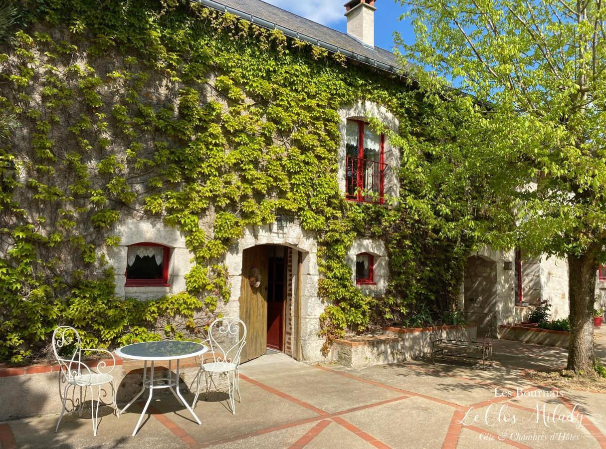 Chambres D'Hotes Les Bournais - Le Clos Milady L'Ile-Bouchard Exterior foto